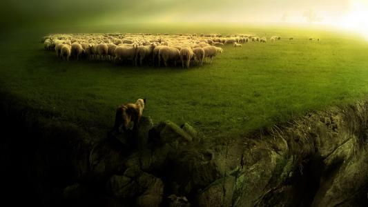 牧群，牧羊人，风景，绿色，美丽，狼