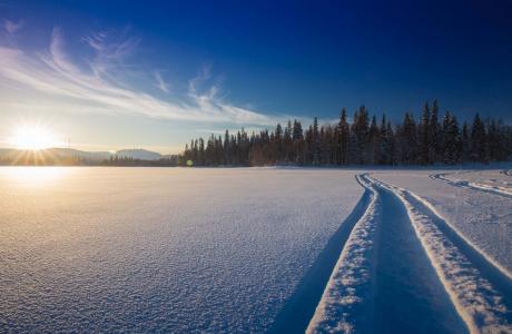 冬天，极端，休息，雪，自然，美丽