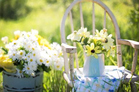 自然，夏天，草，椅子，布，花瓶，斗，鲜花，洋甘菊