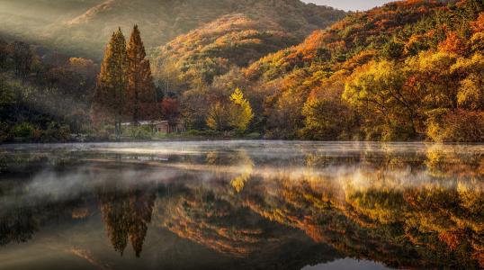 秋天，韩国，丘陵，树木，房子，湖，反射，雾