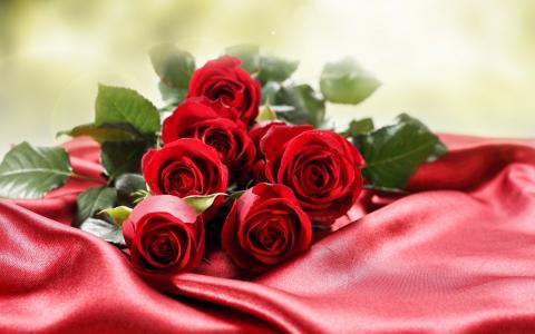 鲜花，玫瑰，香气，花束，心情，礼物