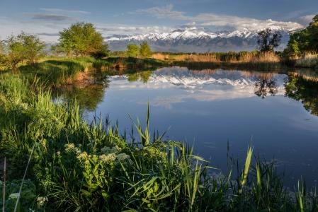 河流，莎草，山脉，天空，反射，通过Leonid Dyachenko
