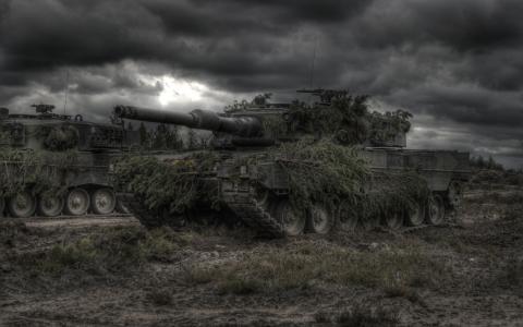 豹，坦克，伪装，恶劣的天气