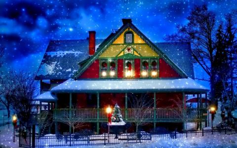 新的一年，圣诞节，毛皮树，房子，晚上