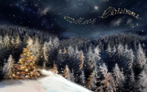 森林，明星，新的一年，圣诞快乐，圣诞树，晚上