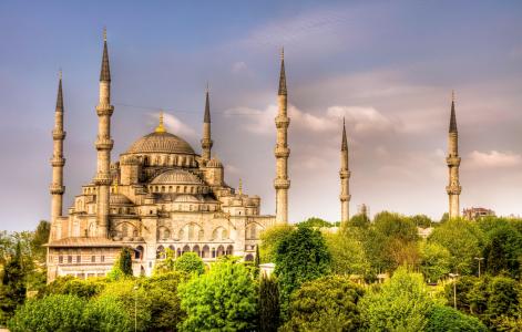 土耳其，城市，伊斯坦布尔，寺庙，清真寺，turkiye，伊斯坦布尔，美丽，树木