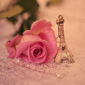 艾菲尔铁塔，钥匙链，纪念品，玫瑰，配件，闪闪发光，巴黎