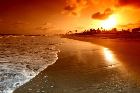 日出，手掌，天空，云，自然，波，景观，海，海滩