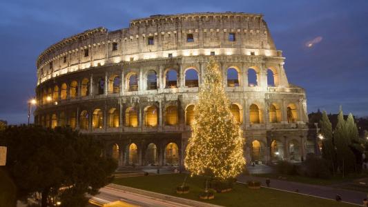 新年，罗马，斗兽场，圣诞树