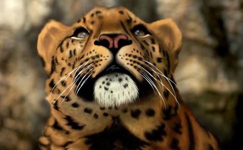 豹，猫，捕食者，3D，Photoshop