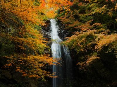 秋天，小溪，美丽，瀑布