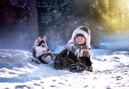 男孩，雪，哈士奇小狗，冬季森林，积极