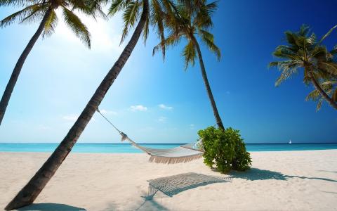 马尔代夫，吊床，棕榈，海洋，水