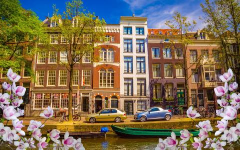 春天，河，开花，建筑物，运河，鲜花，玉兰，汽车，小船，阿姆斯特丹，荷兰，阿姆斯特丹