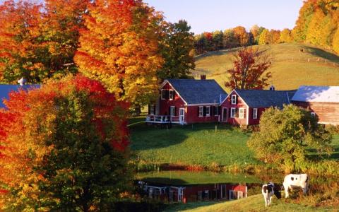秋天，风景，村庄，田园诗