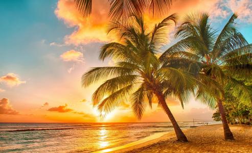 自然，夏天，热带，棕榈树，海滩，海洋，天空，日落，美丽，性质，夏天，棕榈树，海滩，海洋，天空，日落