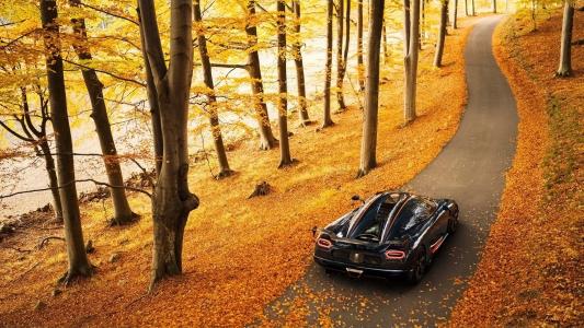 科尼赛克，超级跑车，照片，秋天，道路