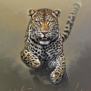 豹，猫，斑点，跳跃，优雅，速度