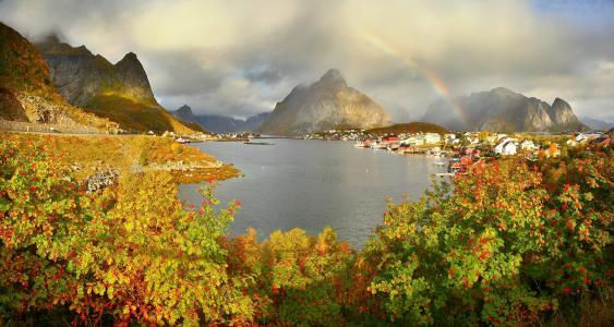 山，秋，挪威，雷讷，Gravdalsbukta，云，彩虹，灌木，性质，城市