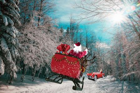 森林，道路，雪橇，鹿，圣诞老人，礼品，汽车，会议