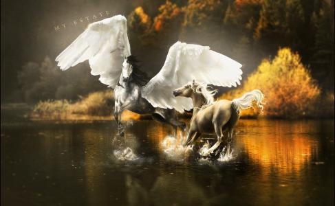 马，艺术，翅膀，池塘，性质，喷雾，幻想