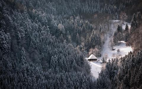 山，森林，小房子，美丽，性质，冬天，雪