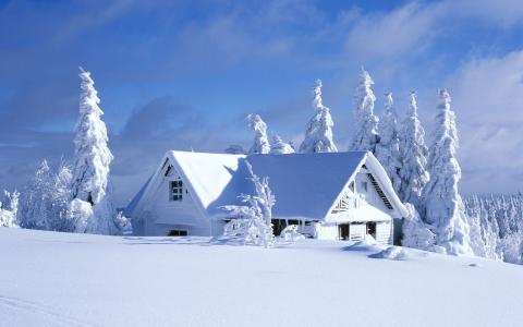 冬天，房子，森林，雪，房子和舒适，性质