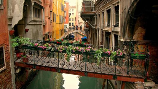 通道，桥，威尼斯，鲜花，运河