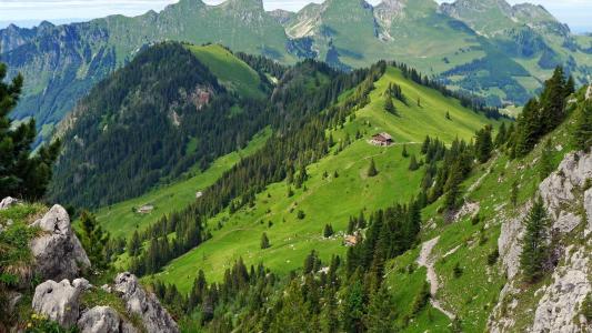 瑞士，森林，瑞士，gastlosen，山，景观