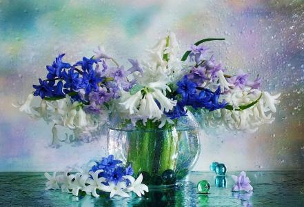 朱莉艾斯纳，花瓶，鲜花，风信子，春天，滴，水，球