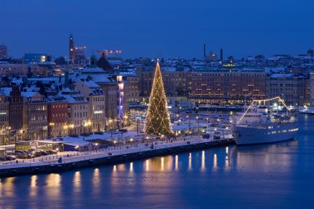 瑞典，斯德哥尔摩，城市，圣诞树