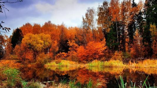 秋天，森林，湖面，反射