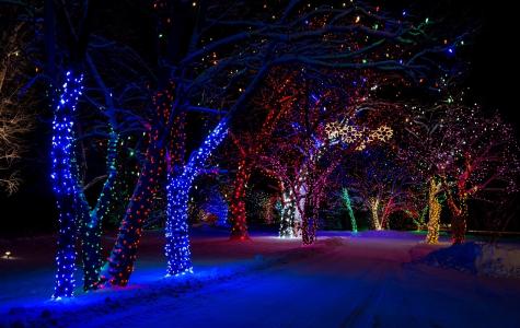 冬天，晚上，路，灯，树，雪，新年，2015年，精美