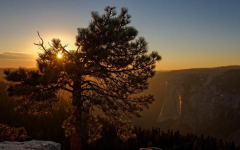 优胜美地国家公园，山，美国，加利福尼亚州，松，太阳，日落，森林