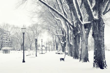 雪，灯笼，公园，冬天，店