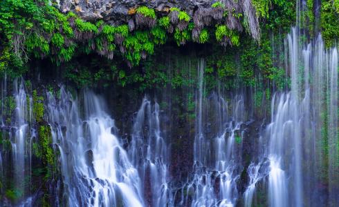 加利福尼亚州卡顿，McArthur-Burney瀑布纪念州立公园，北加州，瀑布，植物，岩石，自然