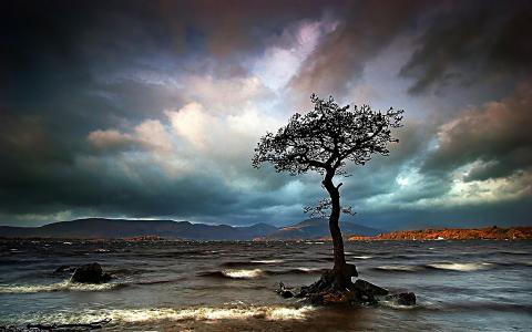 孤独的树，海，风暴，云