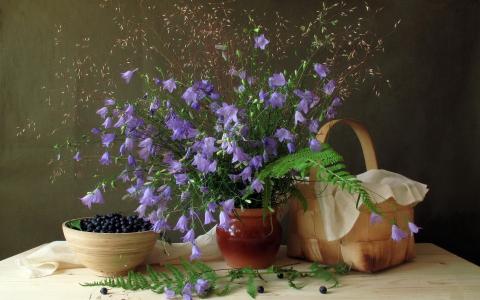 蓝莓，鲜花，盘子，静物，钟声