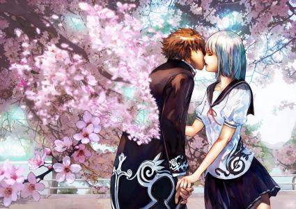 樱桃吻，盛开的樱花，吻，情侣，恋人