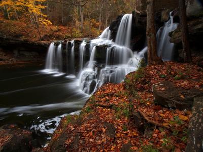 瀑布，瀑布，河，海岸，叶子，秋天，西弗吉尼亚州