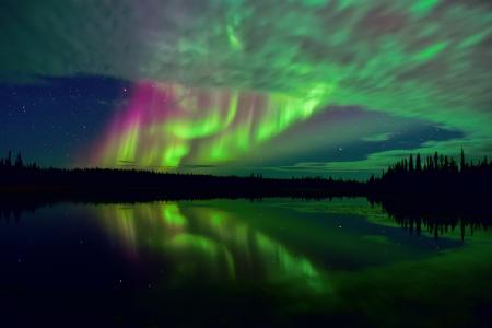 北加拿大，北极，苔原，北极光，天空，星星，夜晚，湖泊，森林，反射，曝光