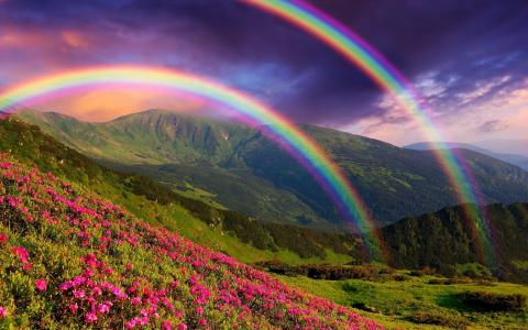 自然，风景，山，鲜花，彩虹