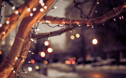 冬天，灯泡，城市，树