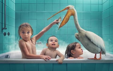 孩子，洗澡，鹈鹕，鱼