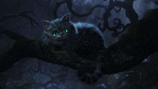 爱丽丝梦游仙境，柴郡猫，微笑，看，在树枝，夜晚