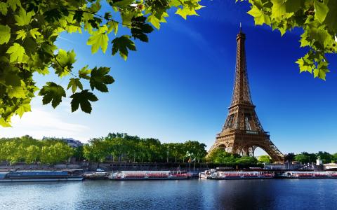 叶，巴黎，夏天，河，埃菲尔铁塔