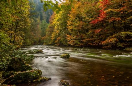 秋天，山河，森林，山，美丽