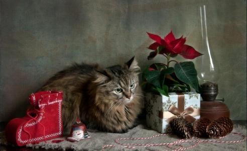 剪纸，圣诞树，圣诞树玩具，猫，Nutrikotiki，新年，Eleonora Grigorjeva