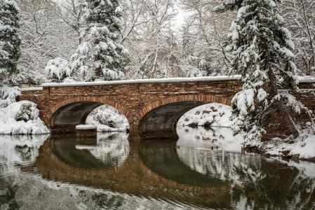 性质，反应，冬天，桥，雪，反射，美丽