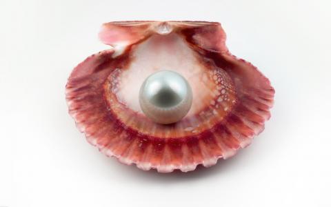 珍珠，贝壳，宝石